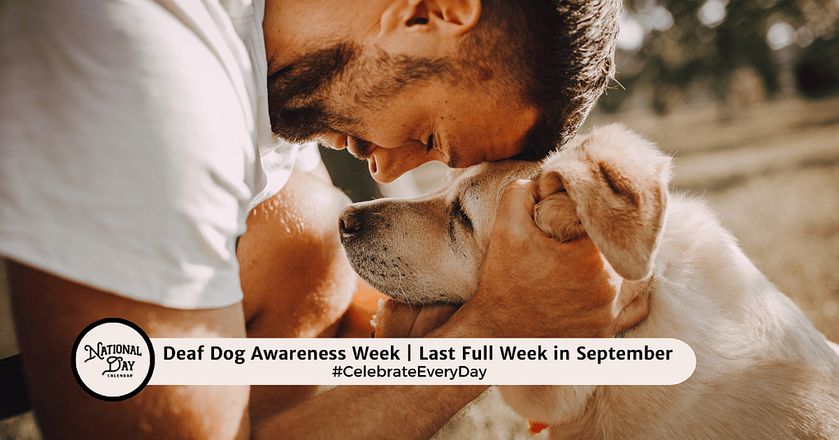 Deaf Dog Awareness Week