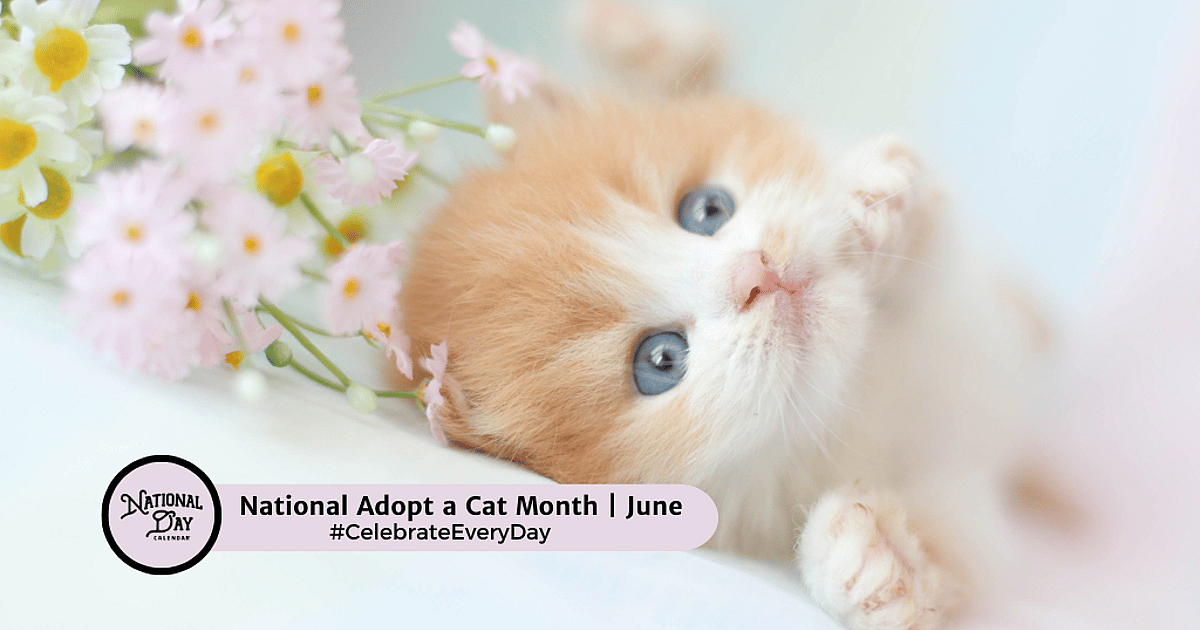 National Adopt a Cat Month