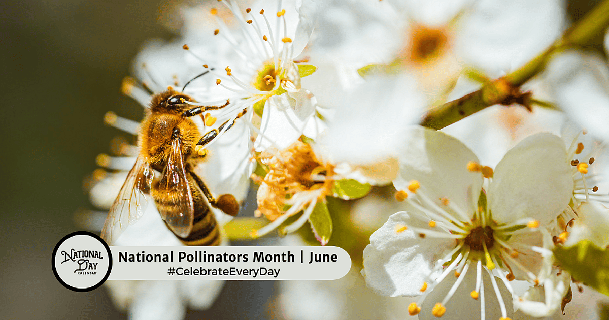National Pollinators Month