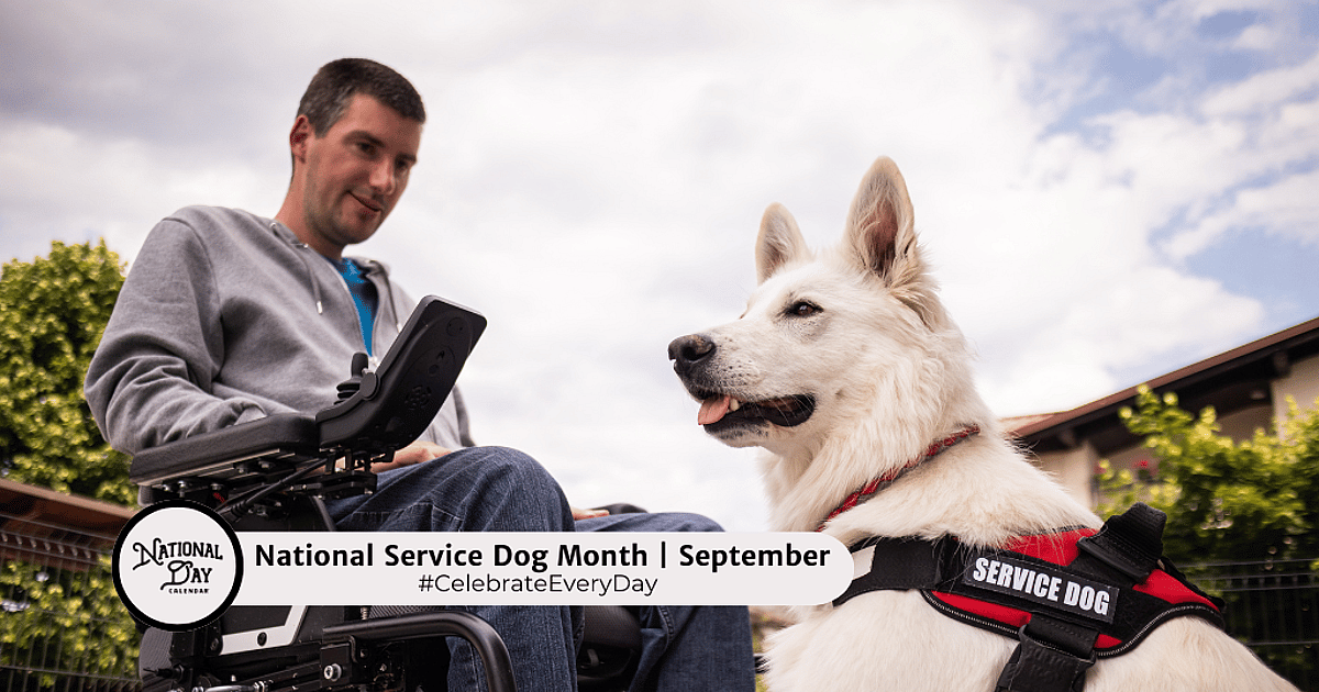 National Service Dog Month
