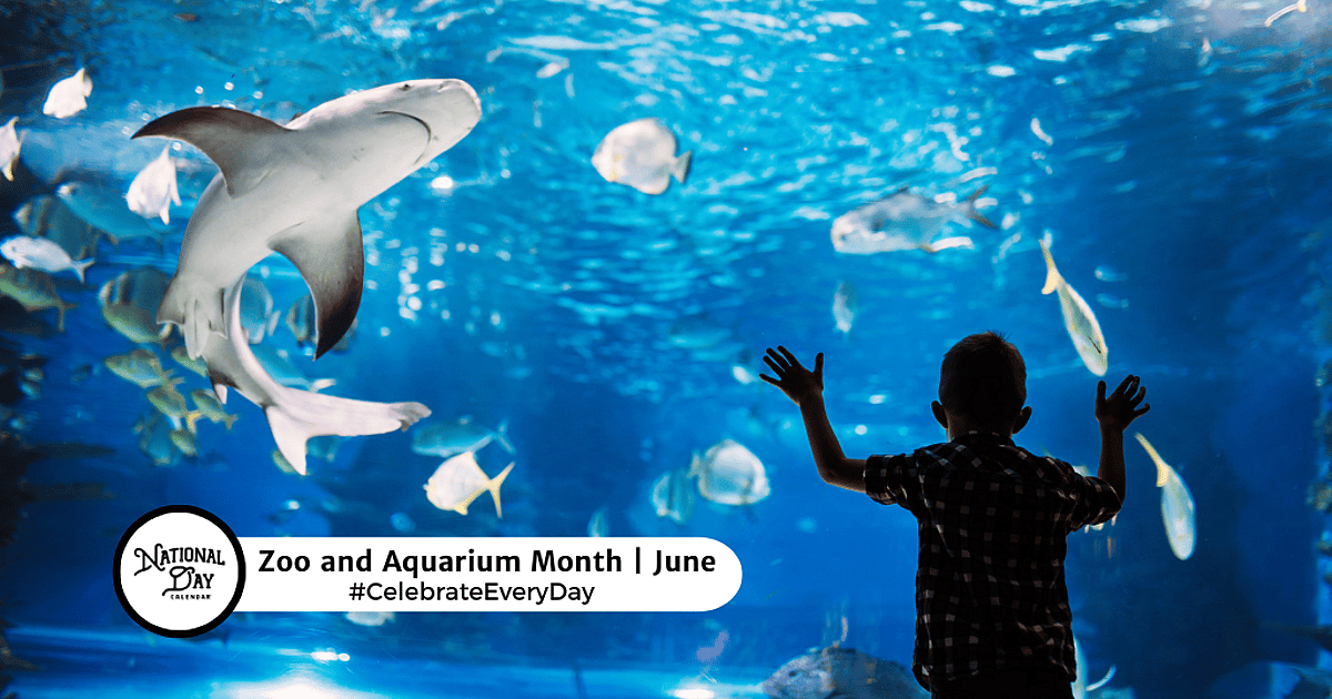Zoo and Aquarium Month